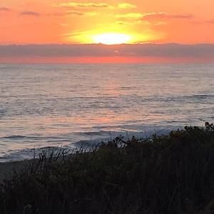 Meet your Posher, Ami